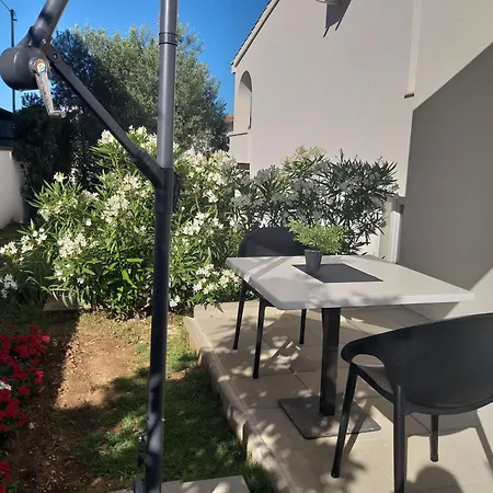 Studio & Conopeum Zadar