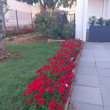 Studio & Conopeum Apartament